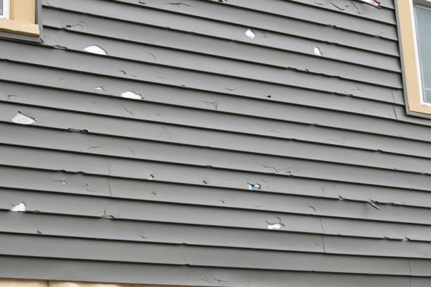 Trusted Chillicothe, MO Junk Removal Experts